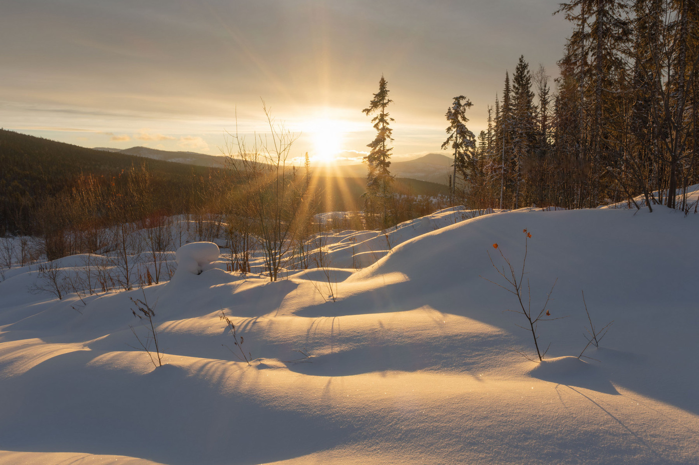 В лучах солнца золотого