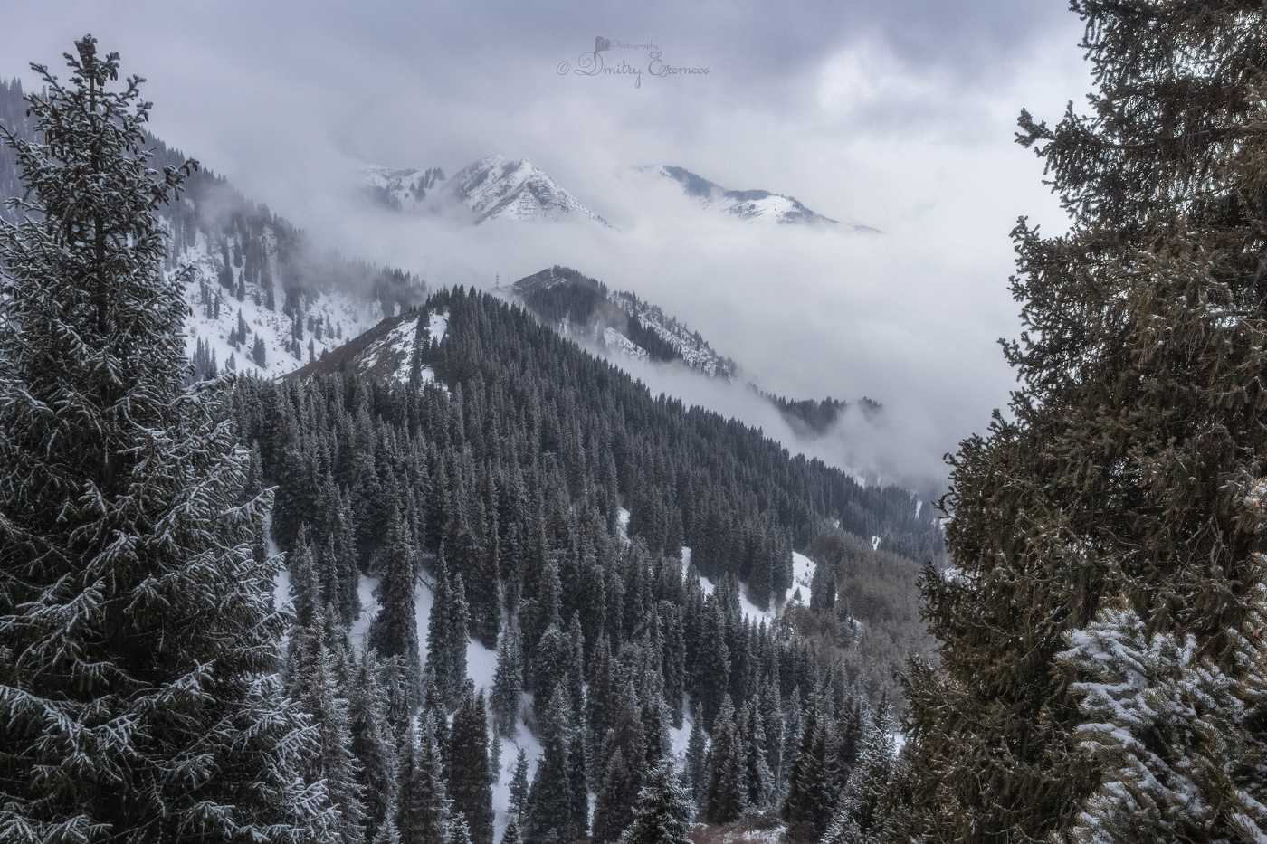 Тишина, которую можно услышать...
