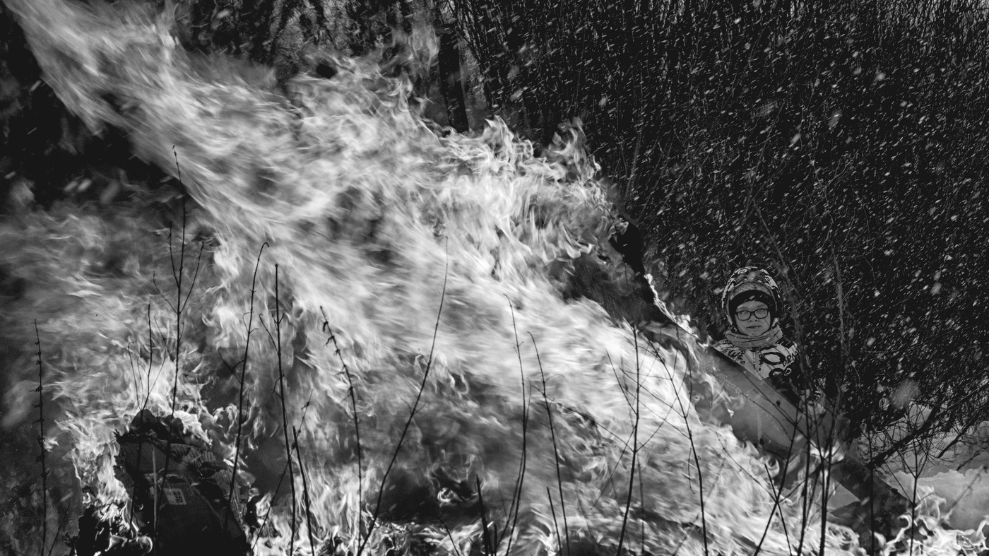 Жизнь вокруг