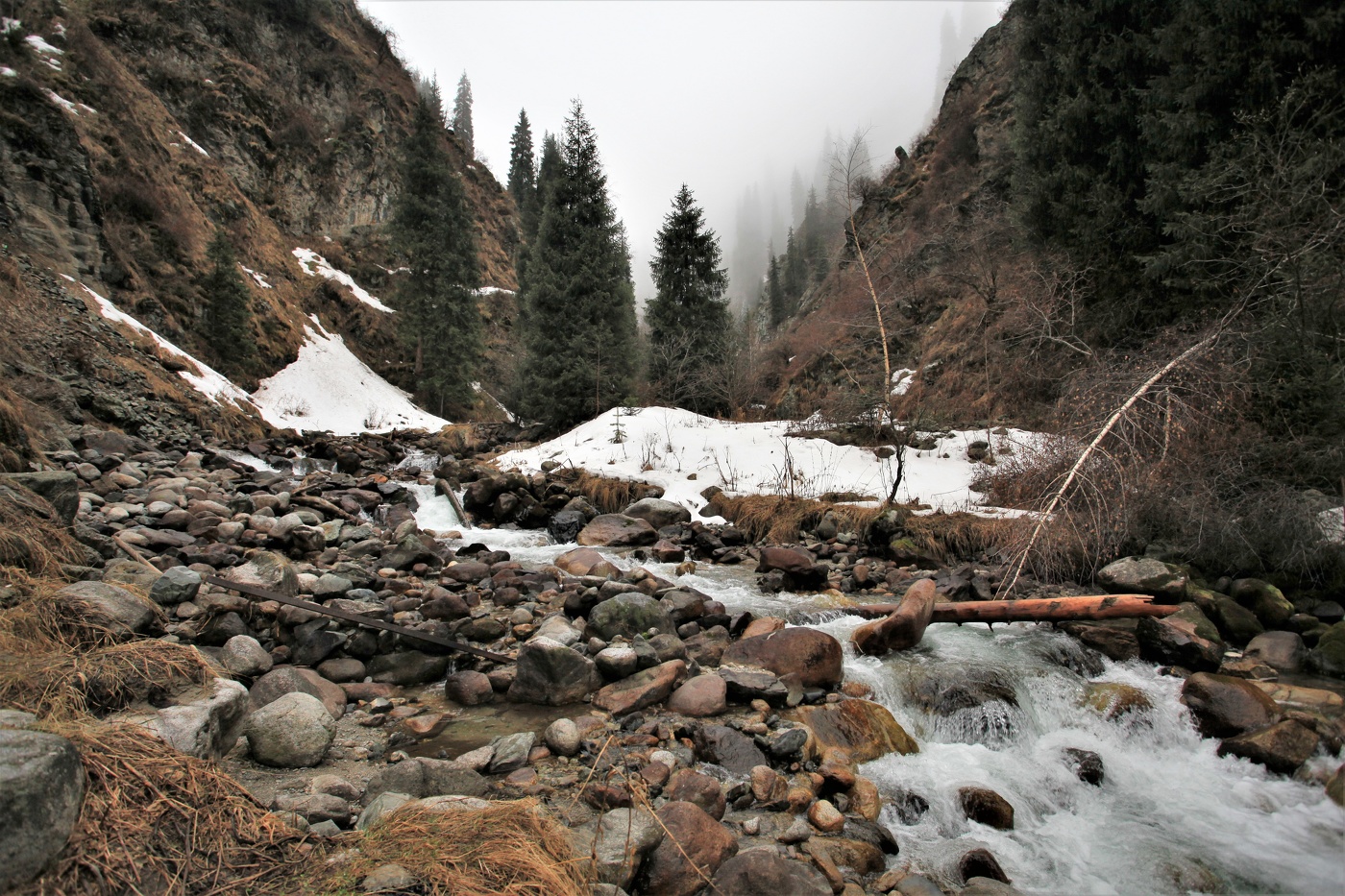 Весенний раздрай
