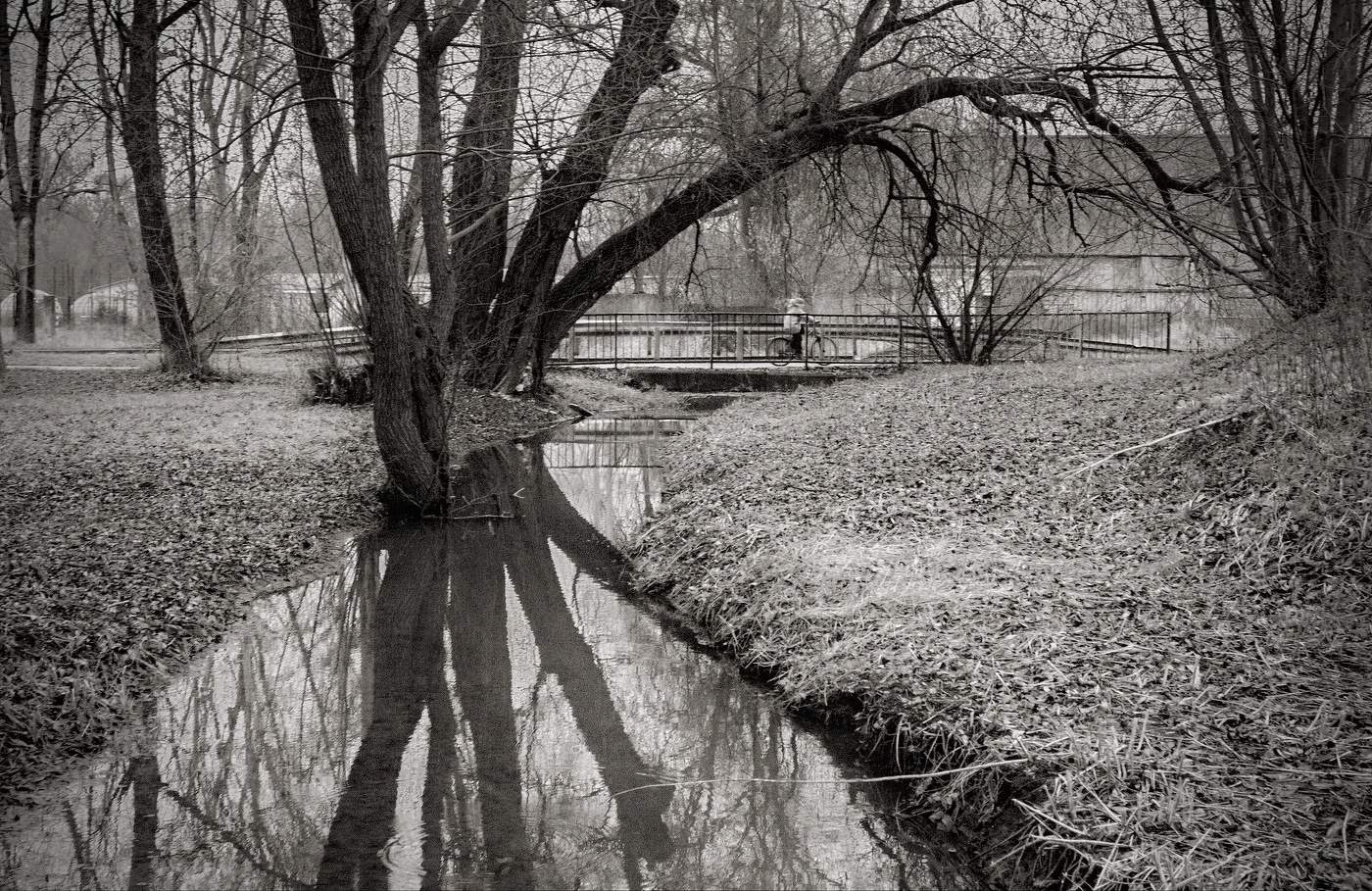 Ноябрьский сюжет из города С