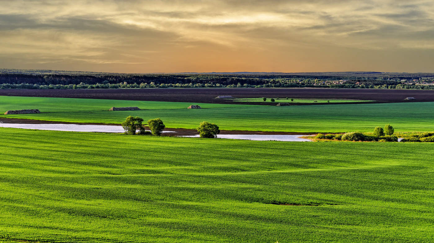 Пойма реки Оки