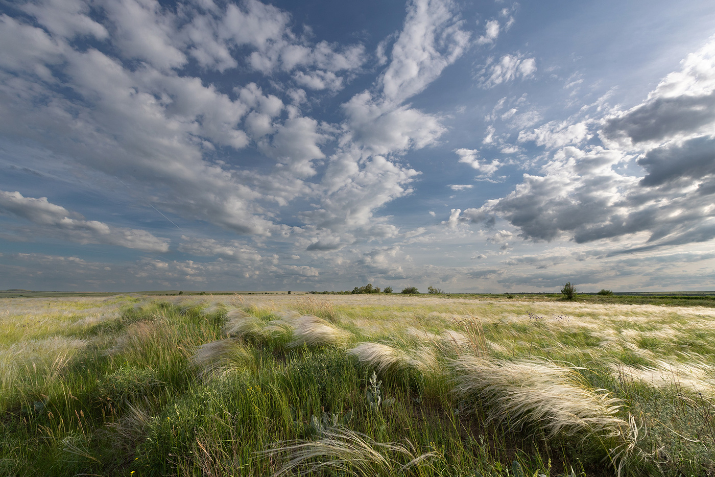 Там, в степи широкой, вольный ветер бродит