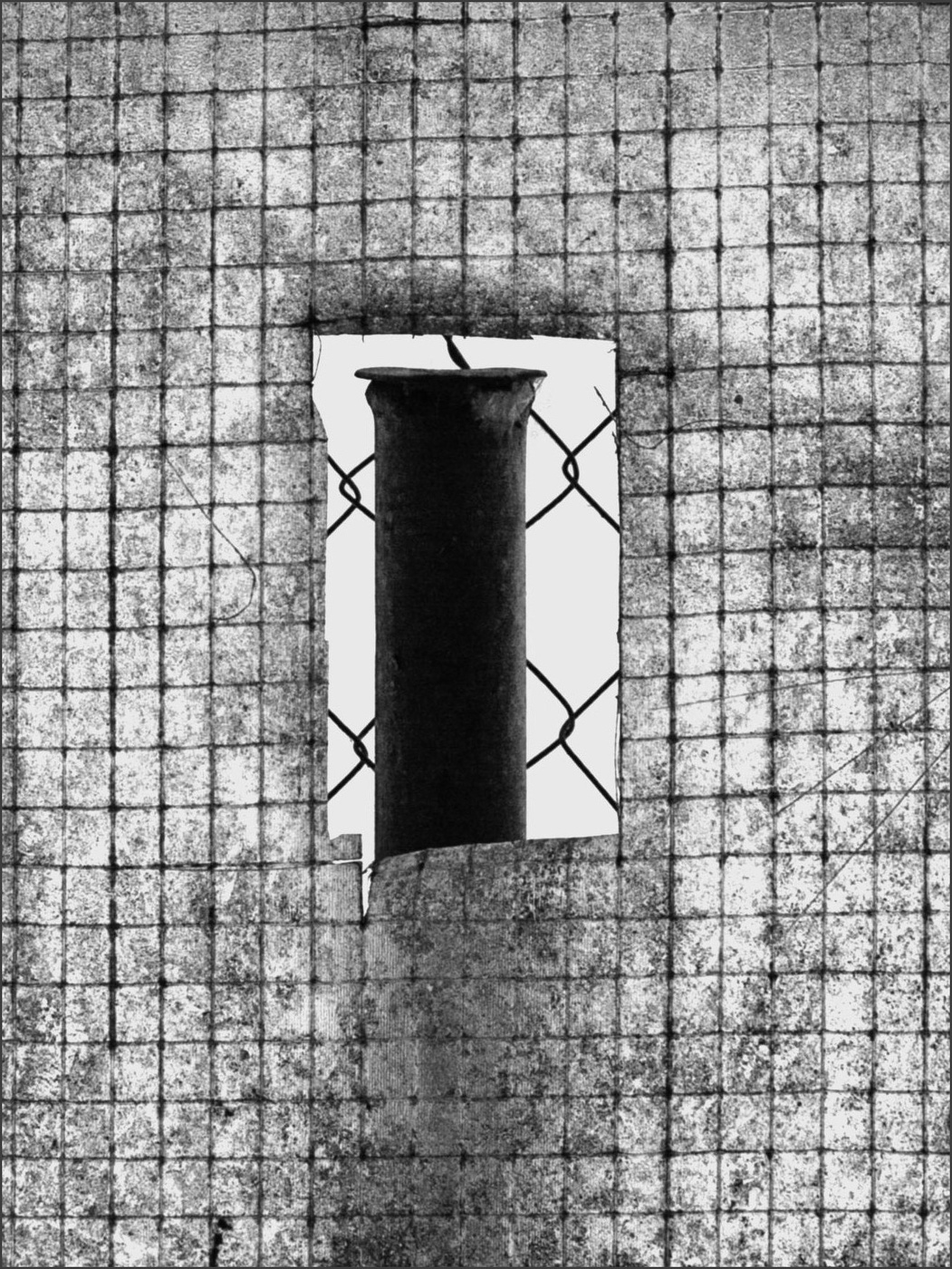 Жизнь вокруг