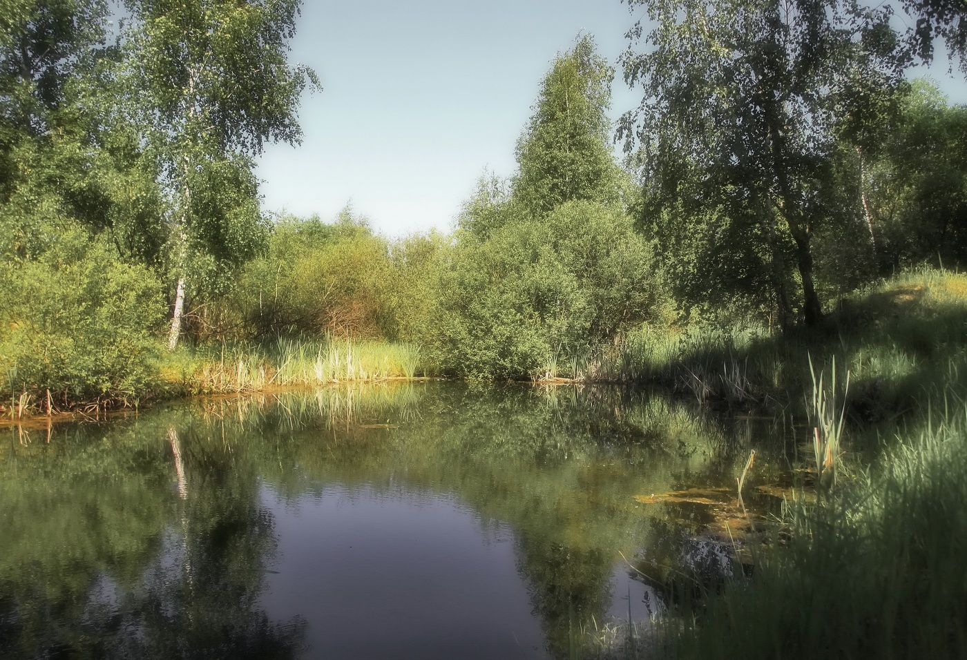 Летний полдень у пруда