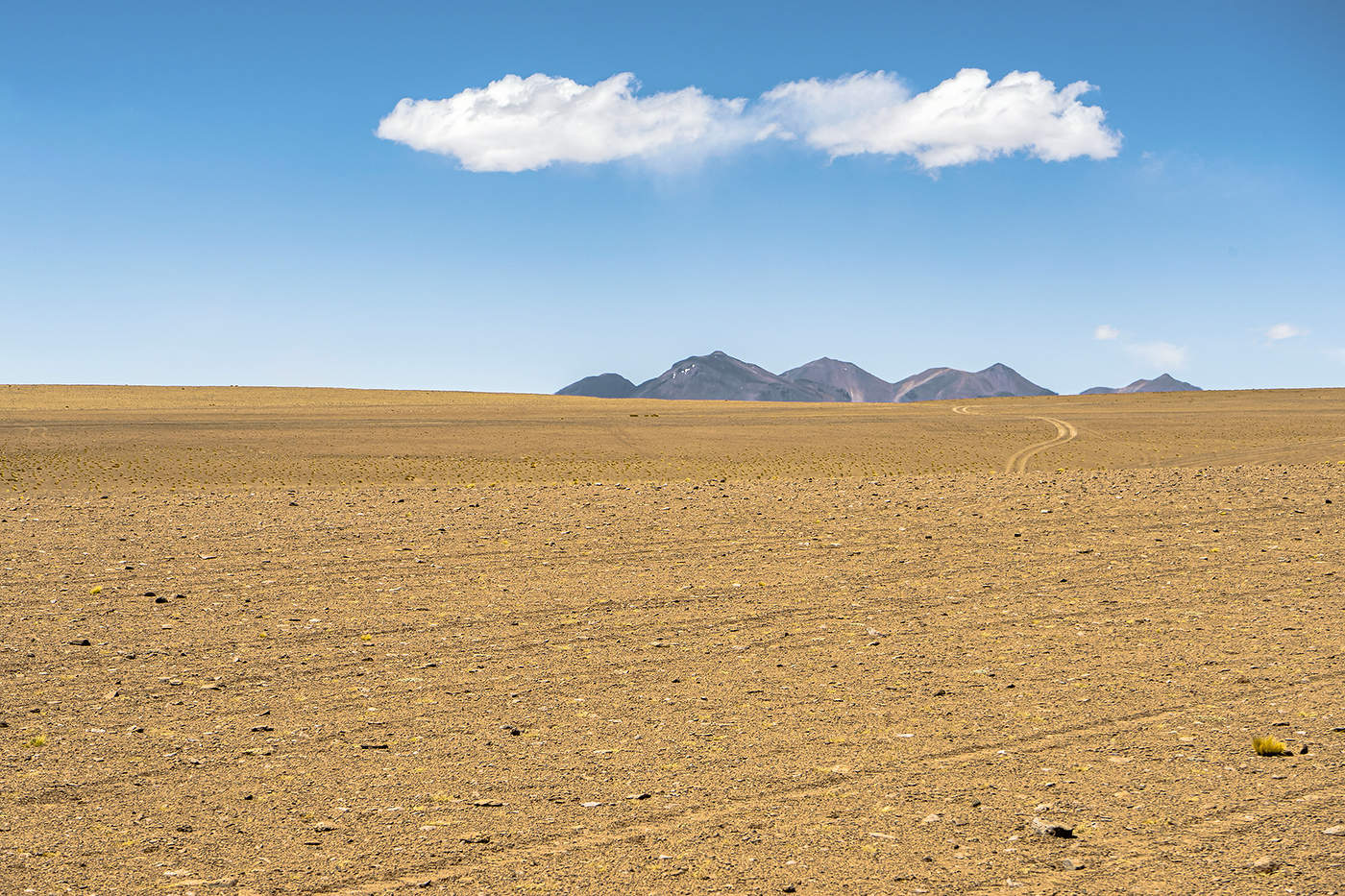 Минимализм пустыни