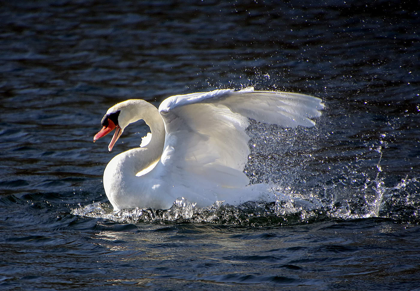 Весенний клич