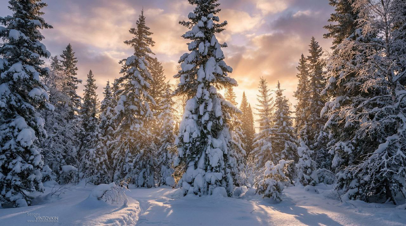 Закат над Сибирской тайгой