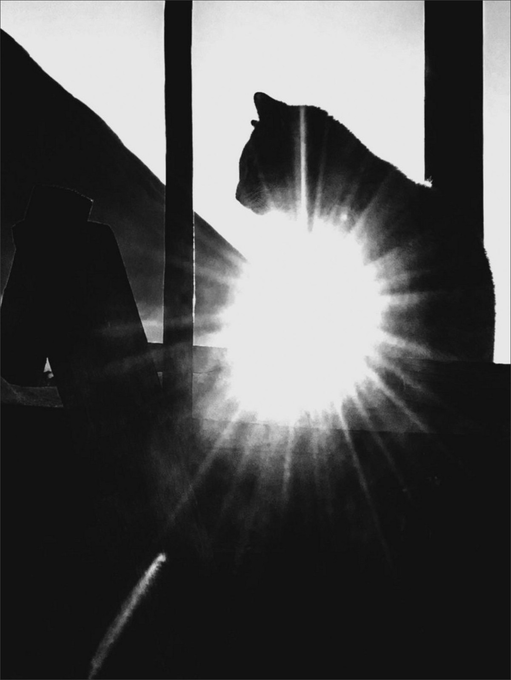 Жизнь вокруг