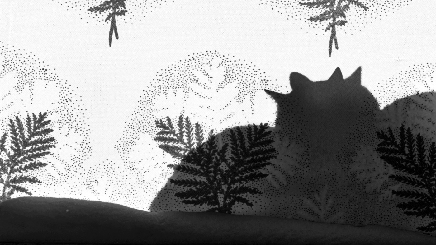 Жизнь вокруг