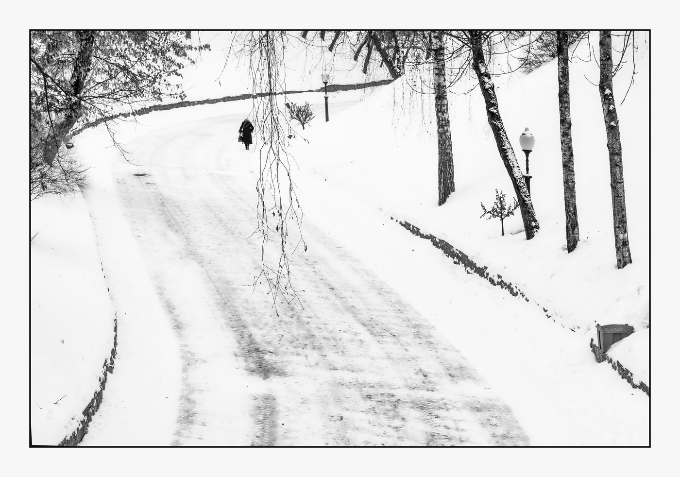 Тень февраля