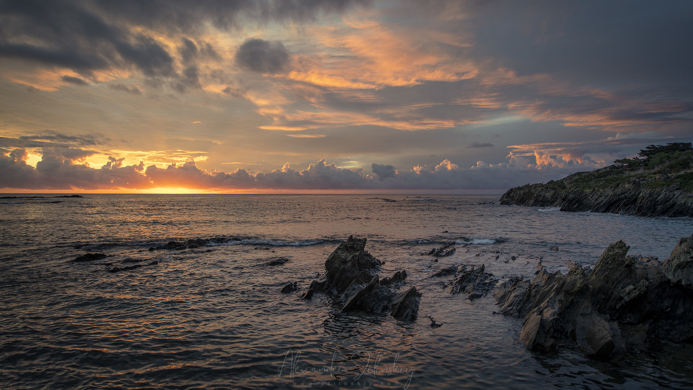 Утренняя песня