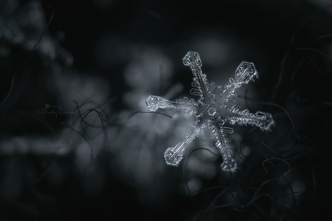 Шестое чувство природы...