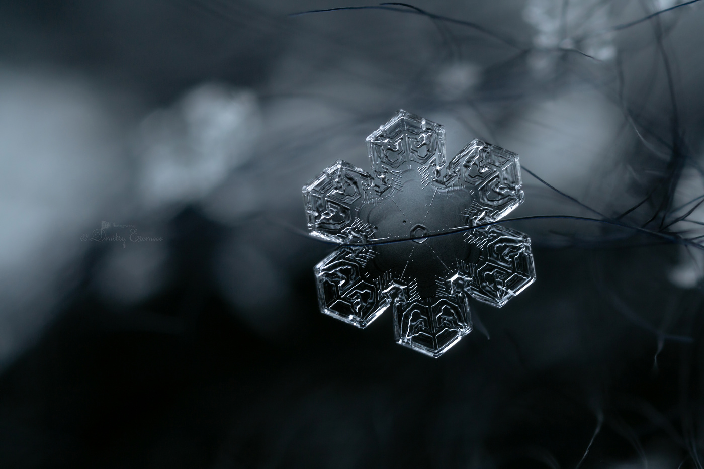 Хрустальный цветок..