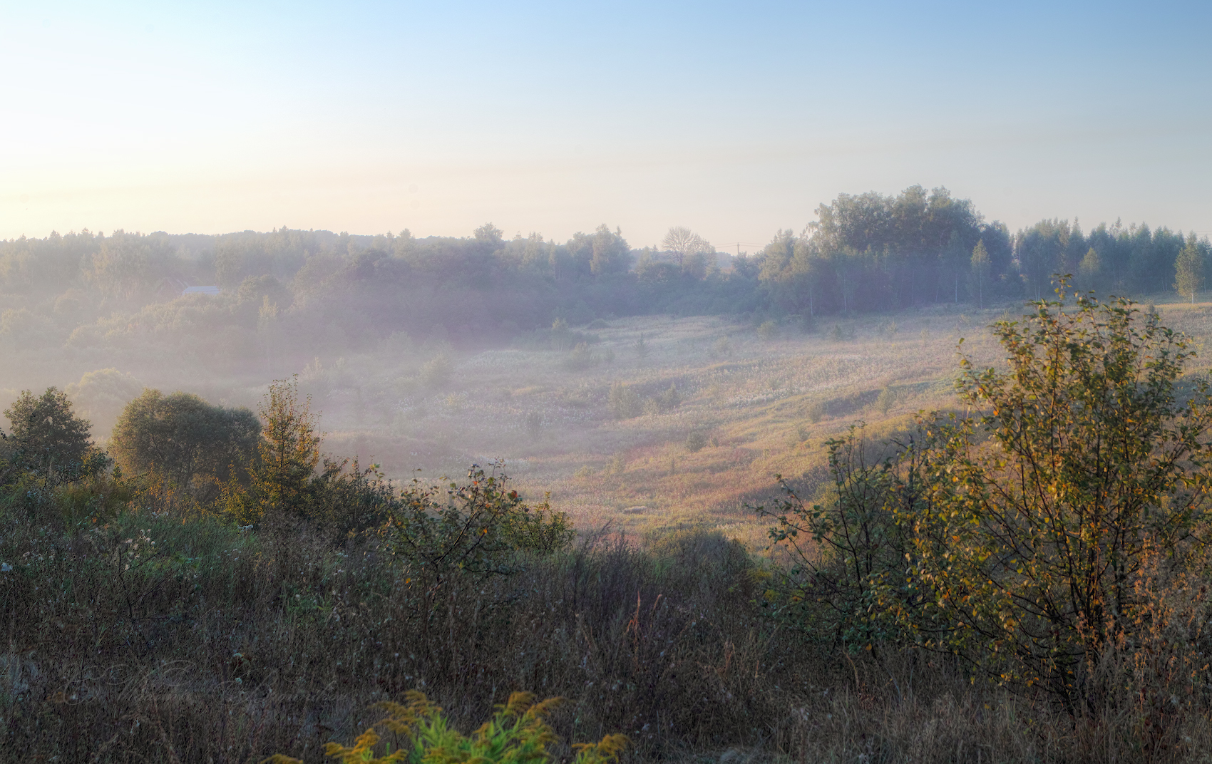 Хуторок в тумане