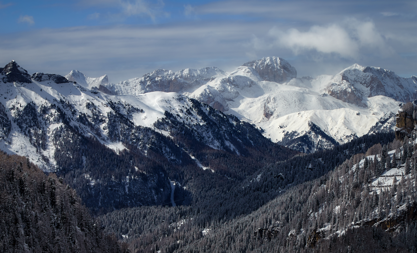 запорошило