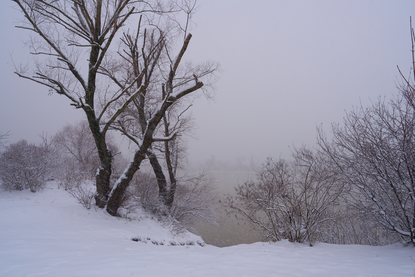 заметает метель заметает