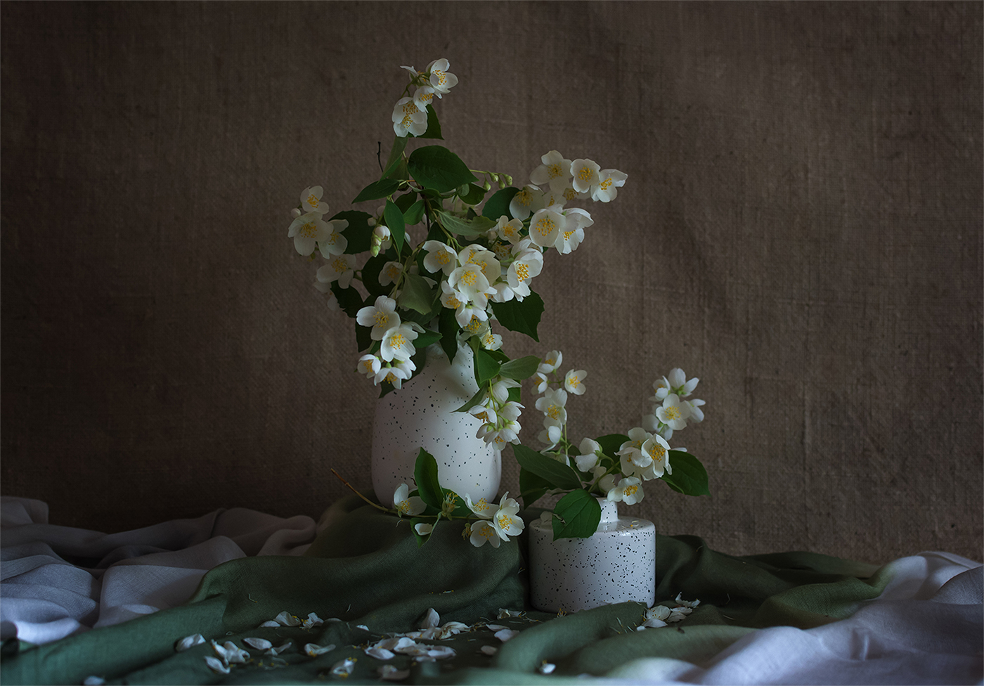 Жасмин роняет лепестки...