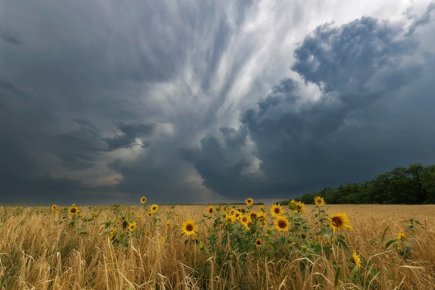 Буря мглою небо кроет
