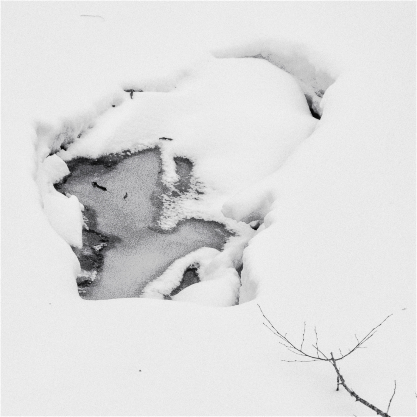 Жизнь вокруг