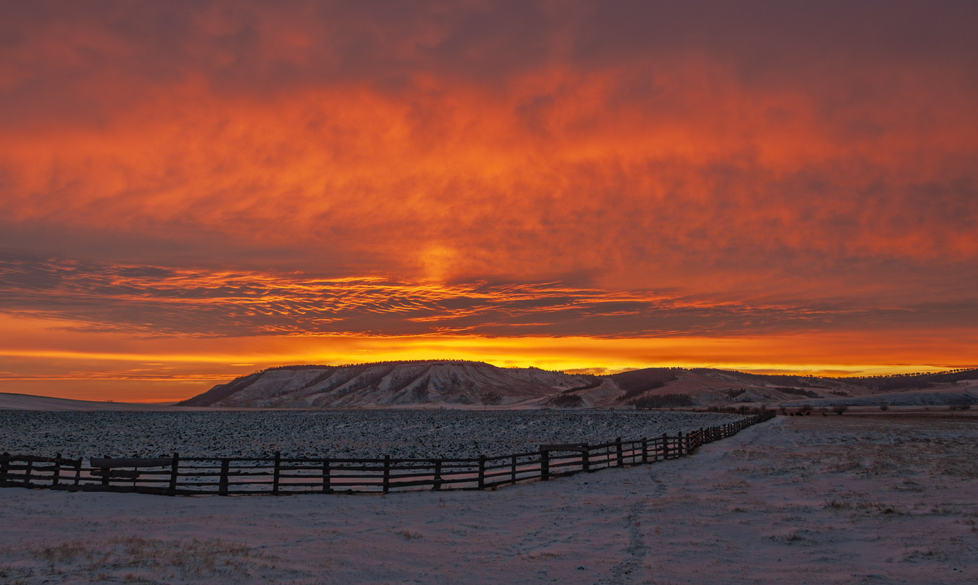 Зарево утра