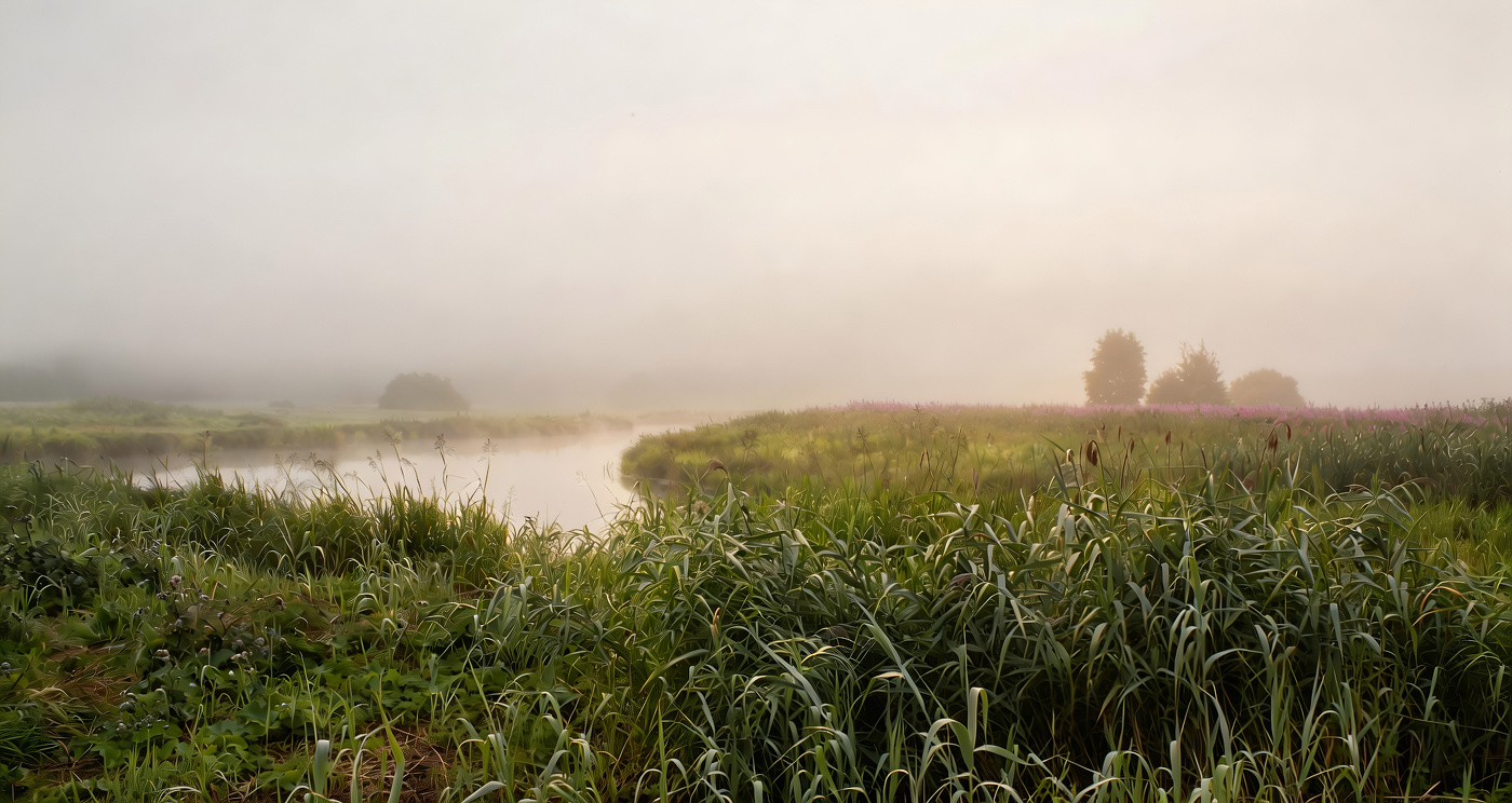 Туманное утро