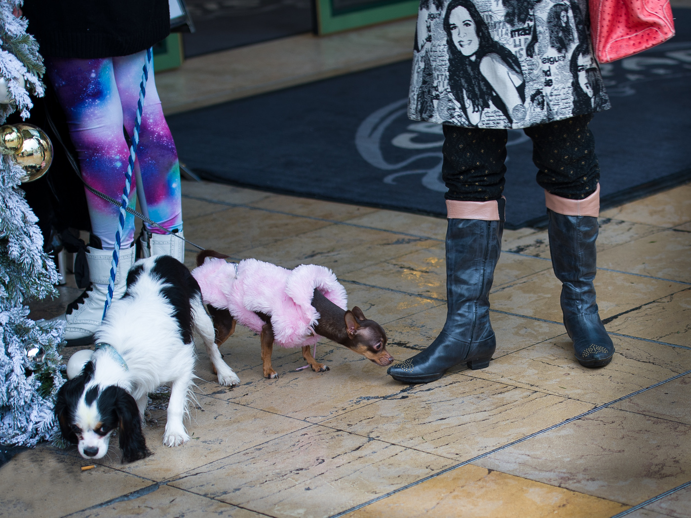 Каждому своё