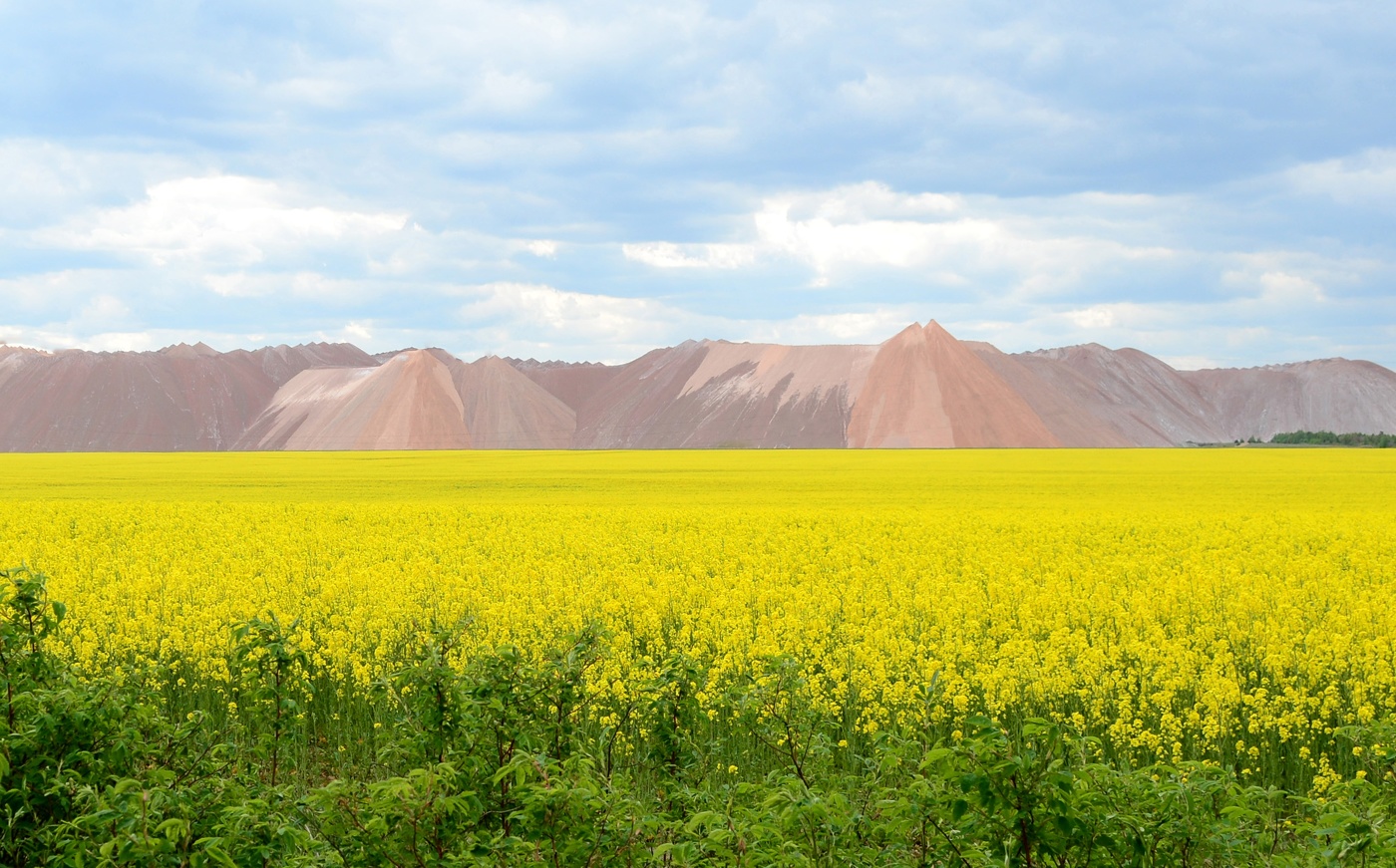 Весенний пейзаж