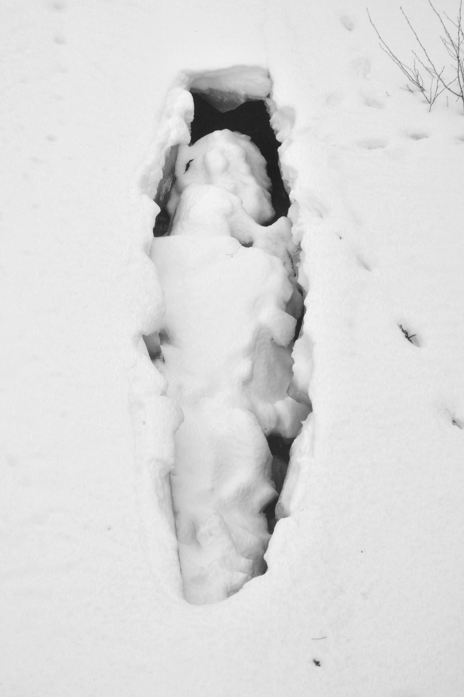 Пейзажизнь