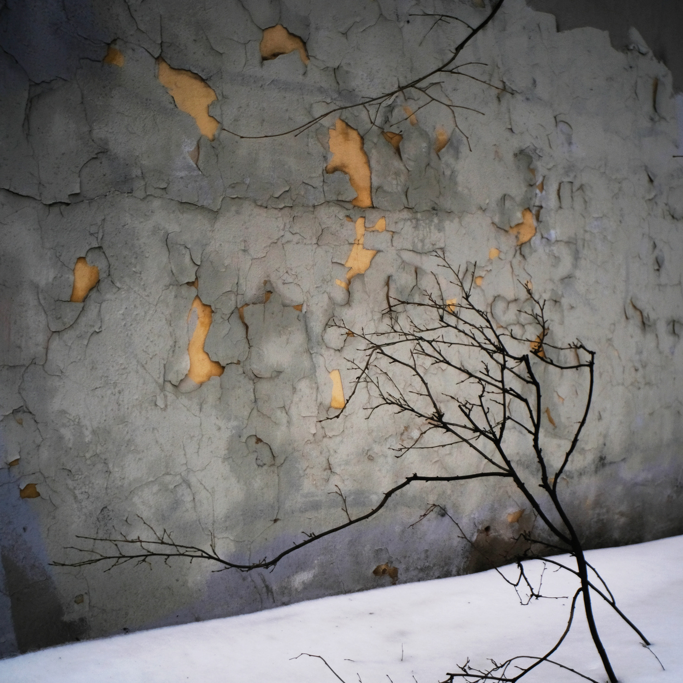 Весенний свет