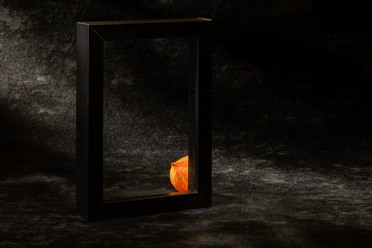 Этюд с физалисом х