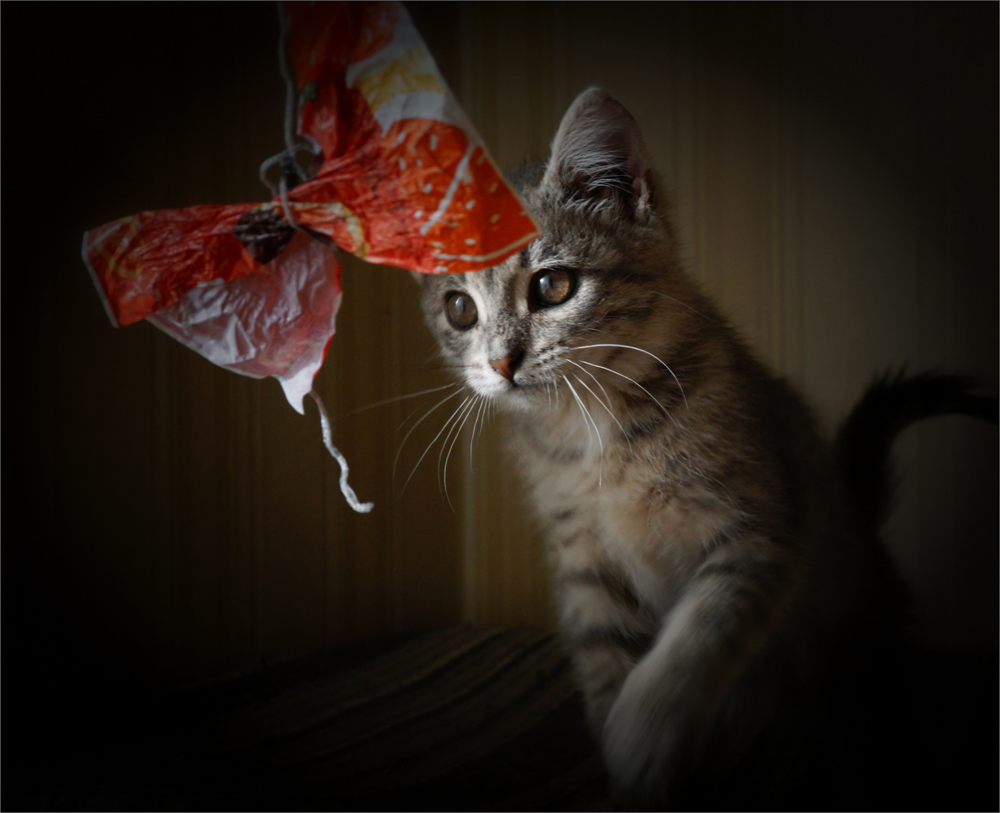 Дымкино детство