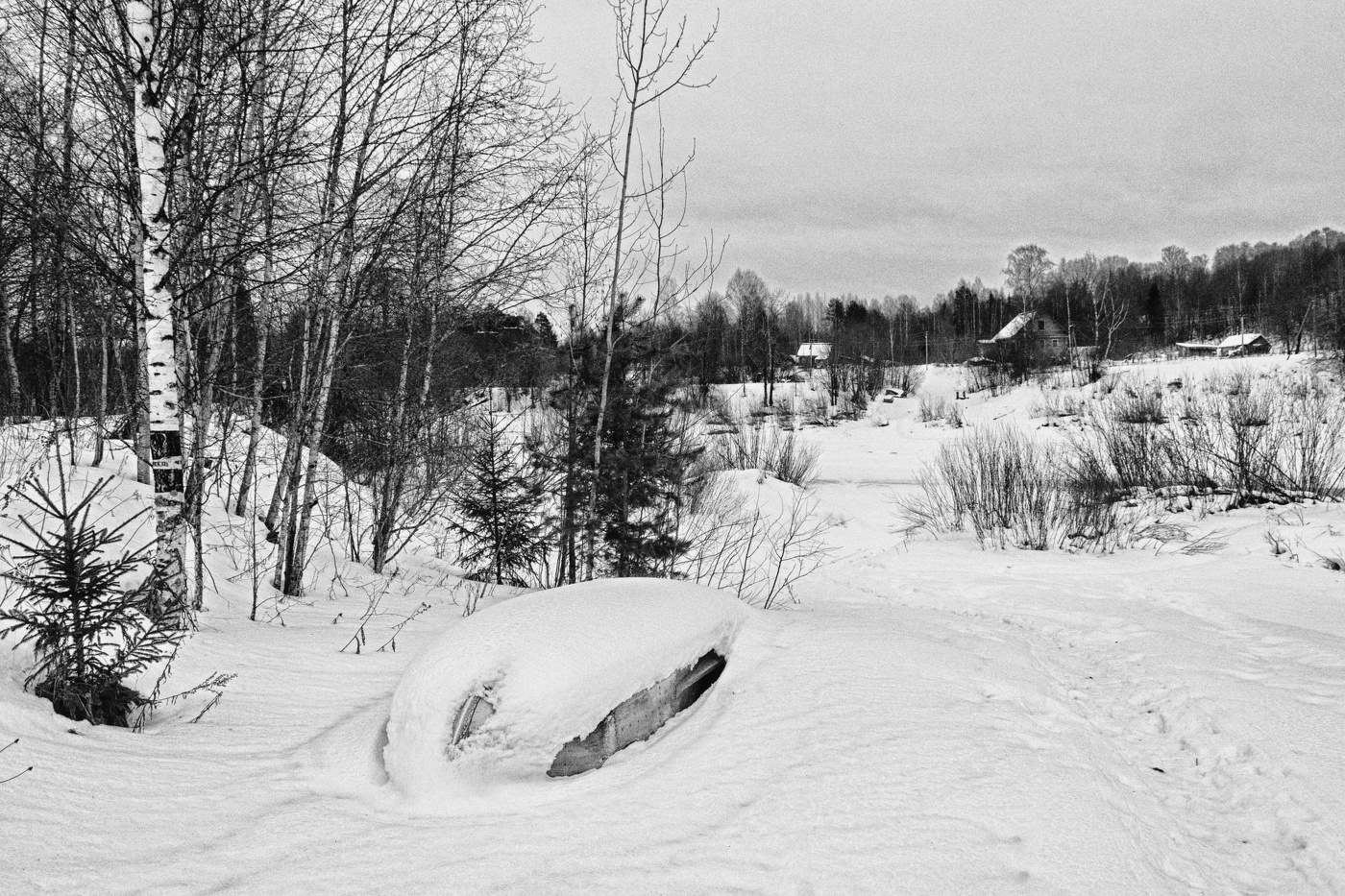 Пейзажизнь