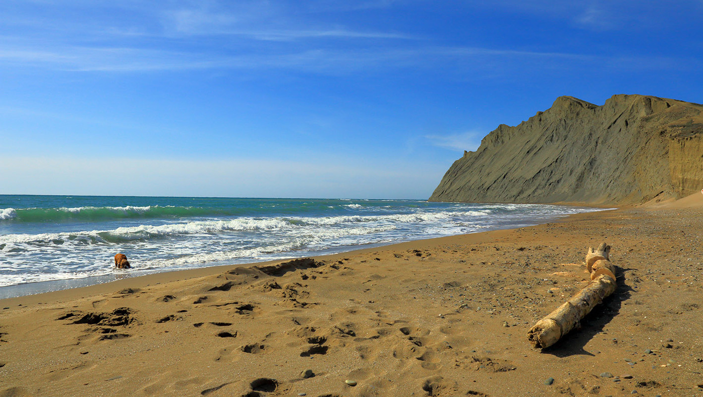 У мыса Хамелеон