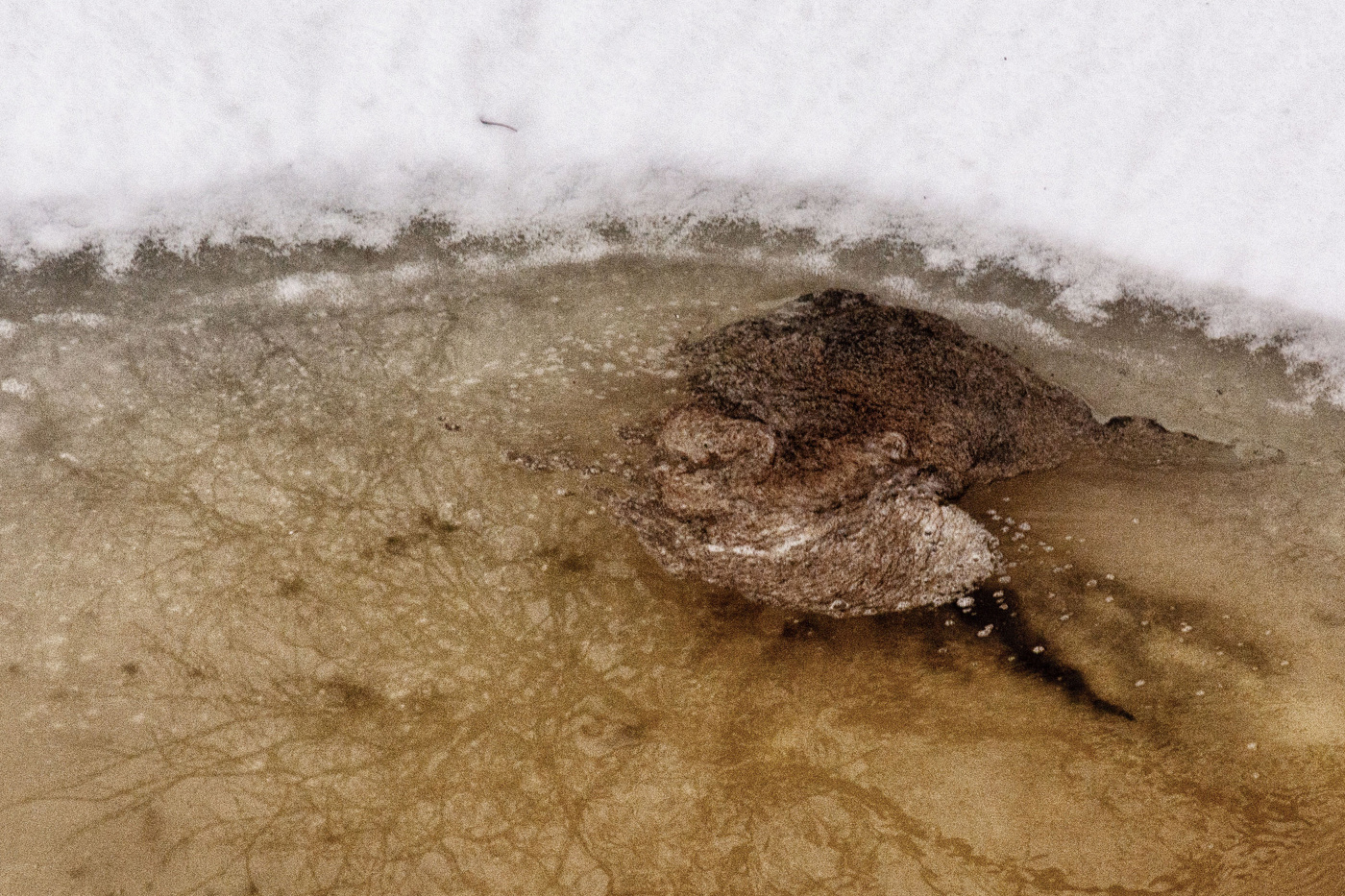 Жизнь вокруг