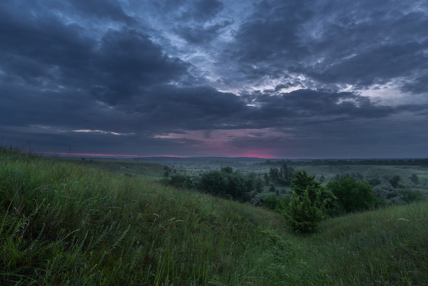Рассветный лог