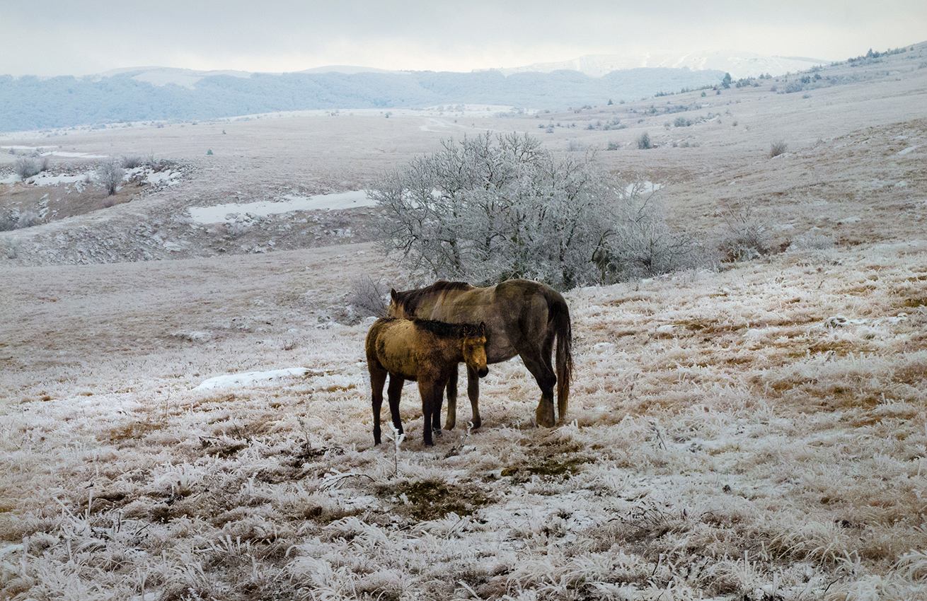 С мамой теплее
