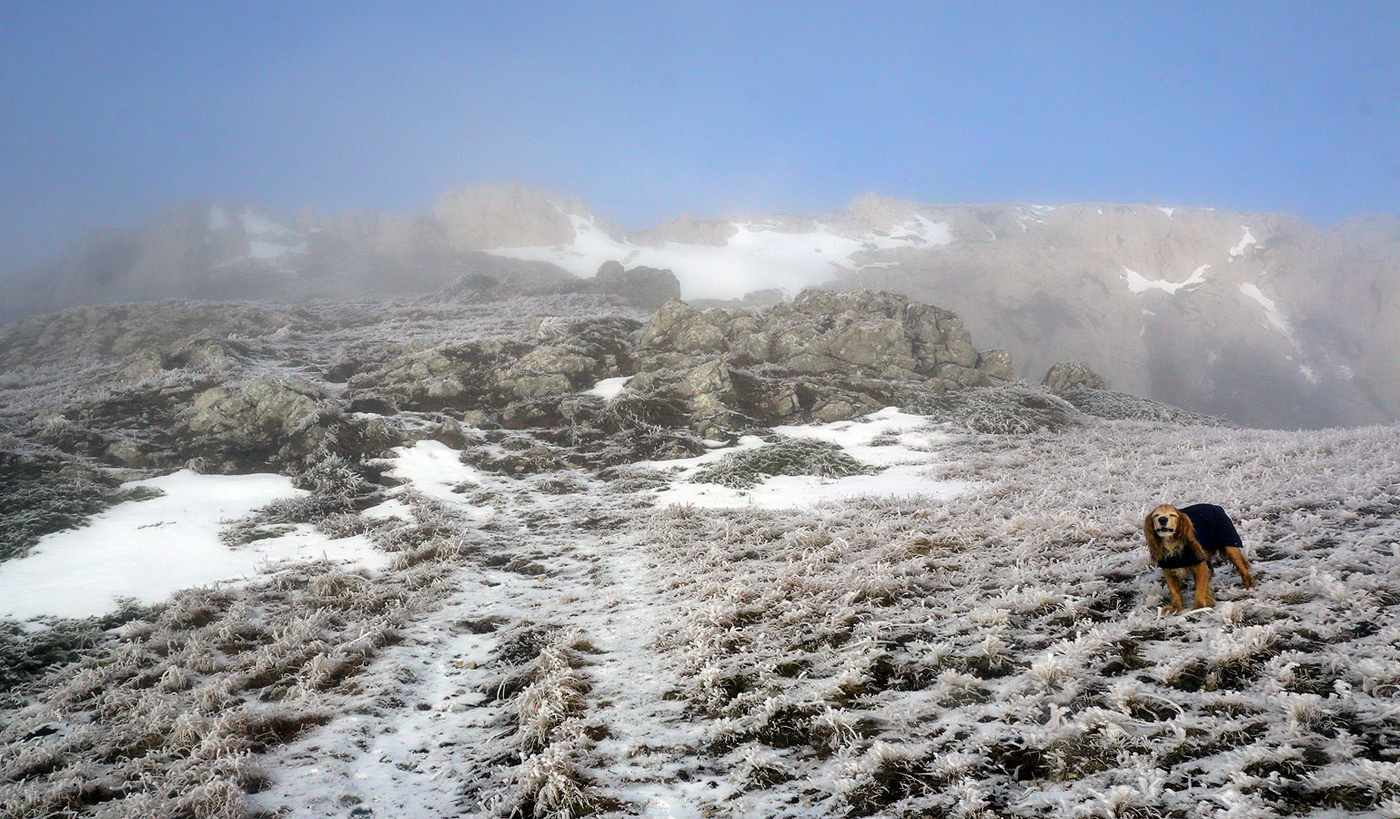 На верхнем плато Чатыр-Дага
