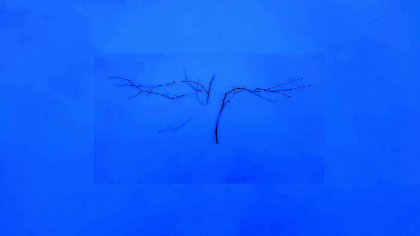 на рабочем столе