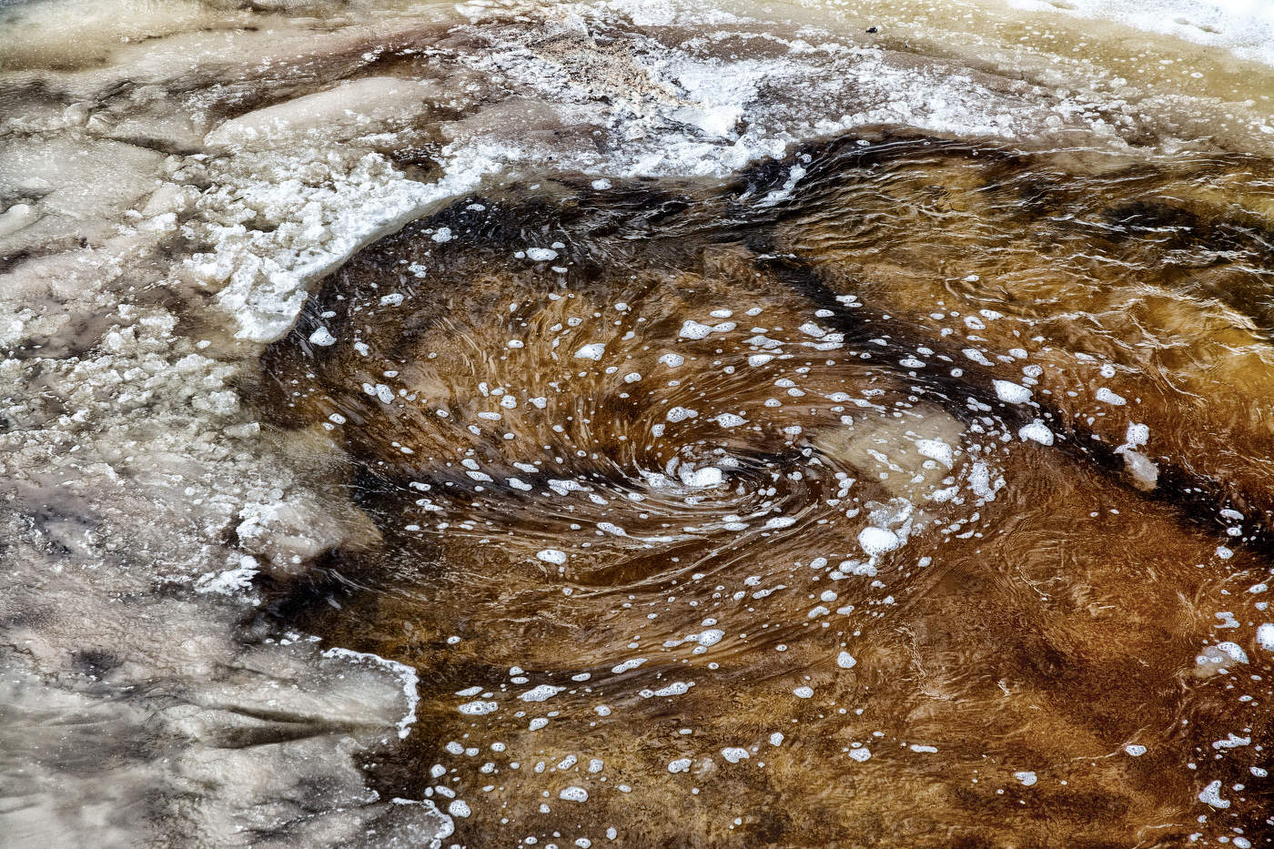 Жизнь вокруг