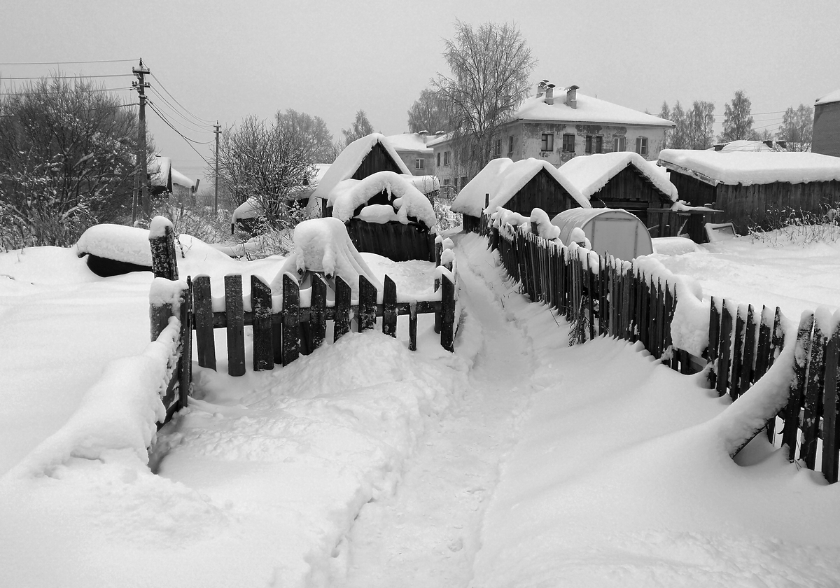 Снежная зима.