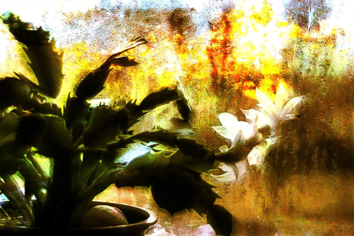 В преддверии праздника.