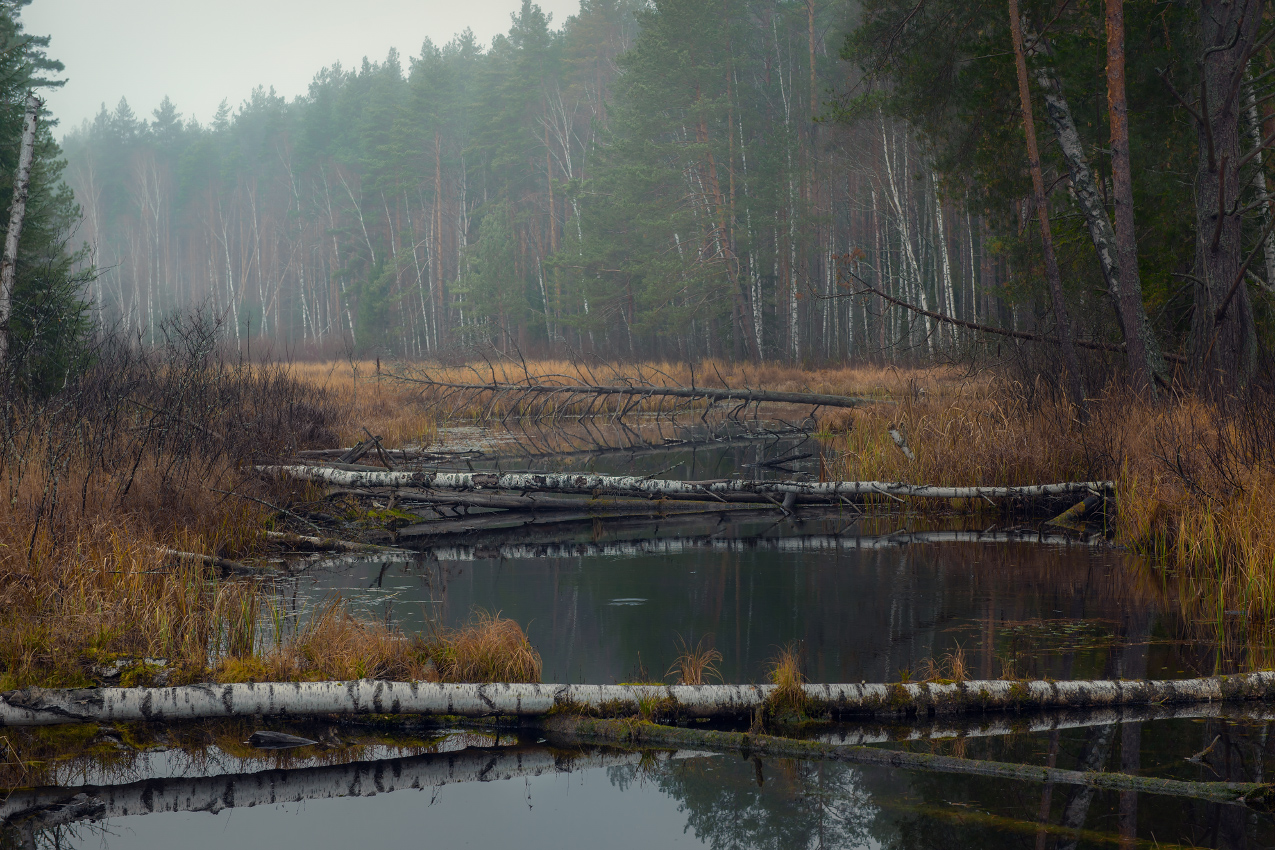 Осенний Суходол
