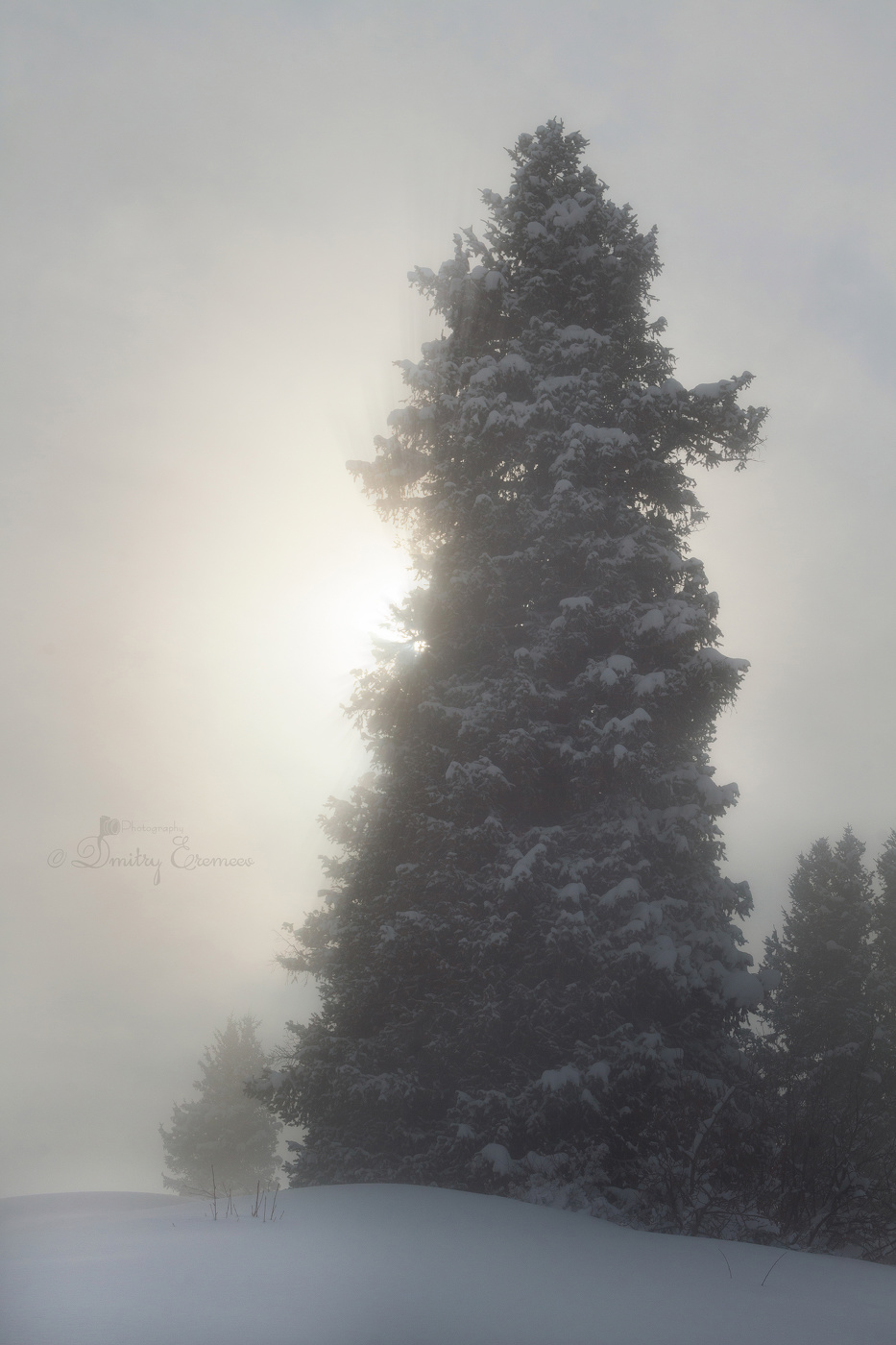 Там, где тишина обретает форму, а облака путаются в иголках тянь-шаньских елей...