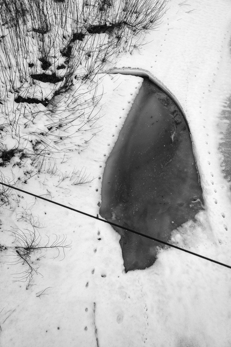 Жизнь вокруг