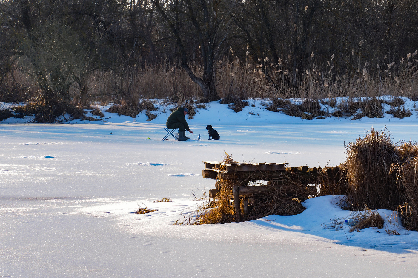 Друзья-товарищи