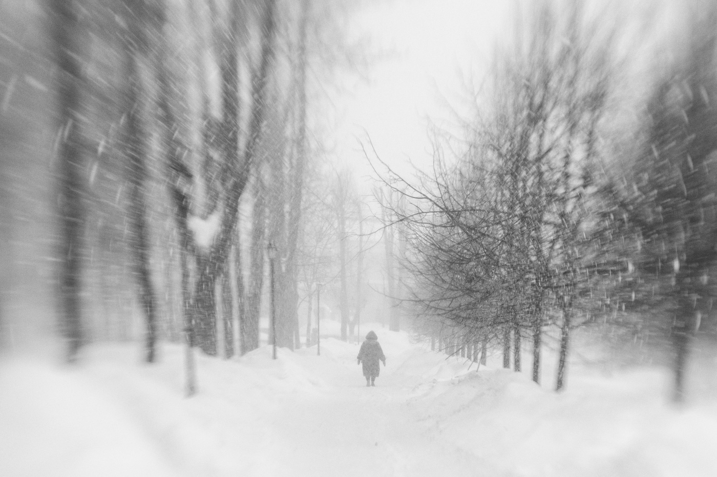 Когда деревья были большими