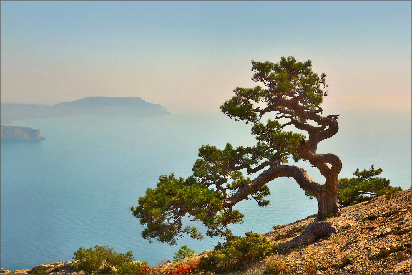 Скалолазка...