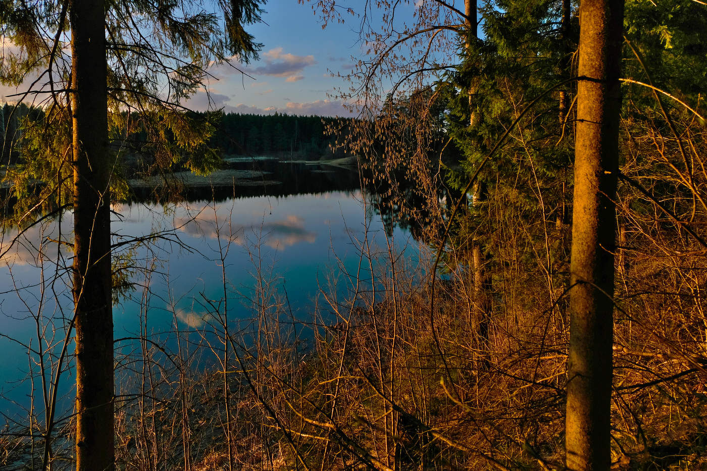 Сережка ольховая