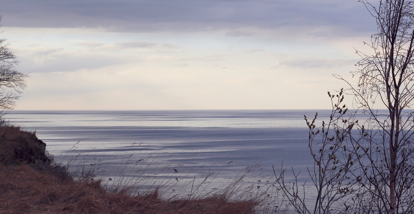 ... и настанет весна